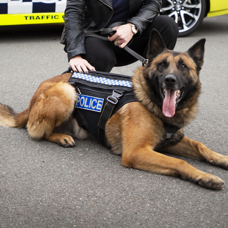 MAKO K9 Harness