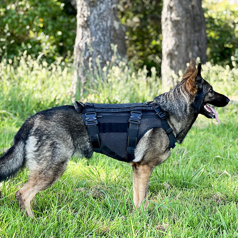 MAKO K9 Harness