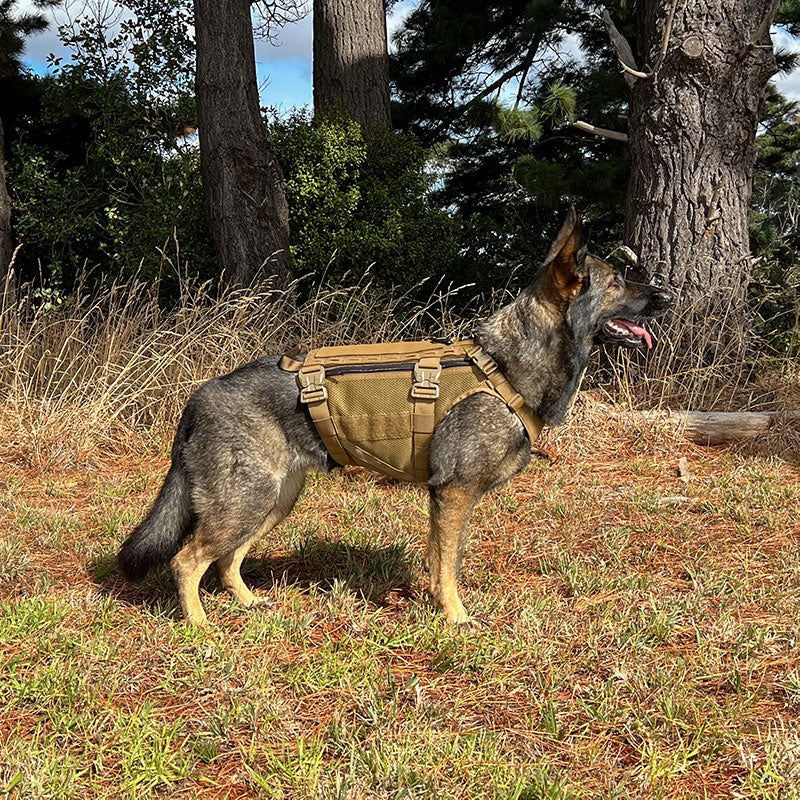 Sabre K9 Harness