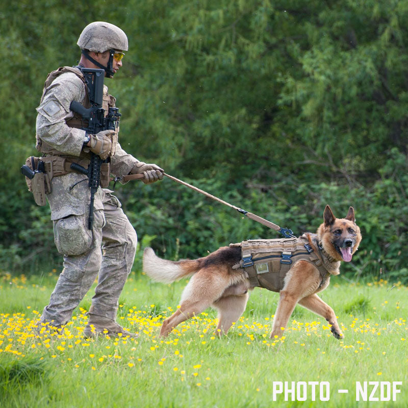 MAKO K9 Harness