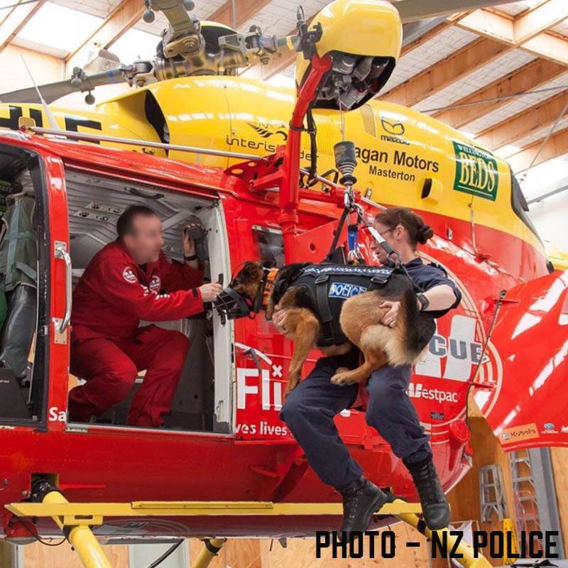 Police dog wearing Sabre Tactical harness being hoisted into rescue helicopter.
