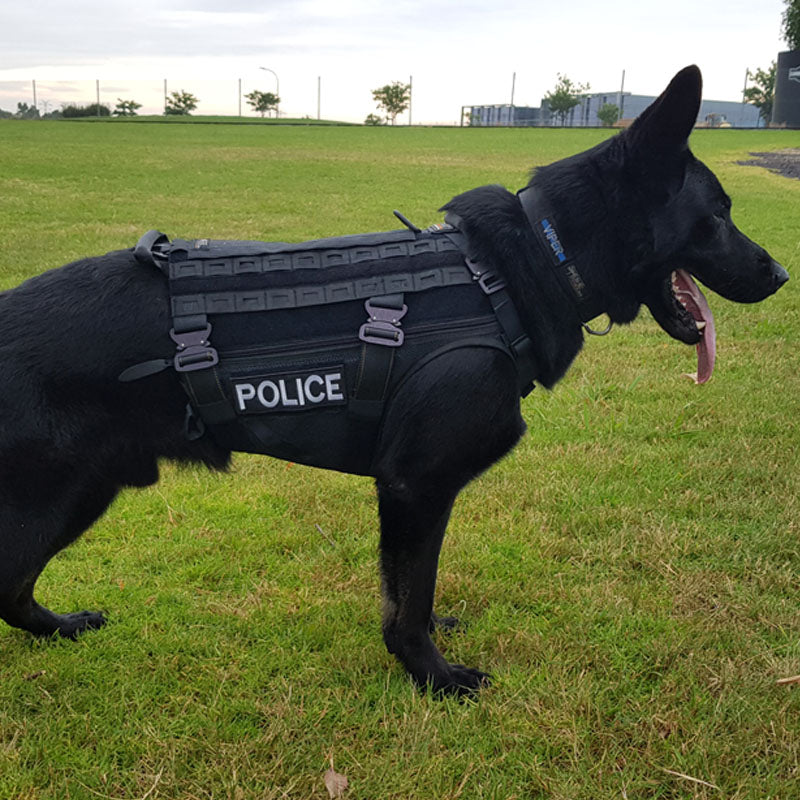 MAKO K9 Harness