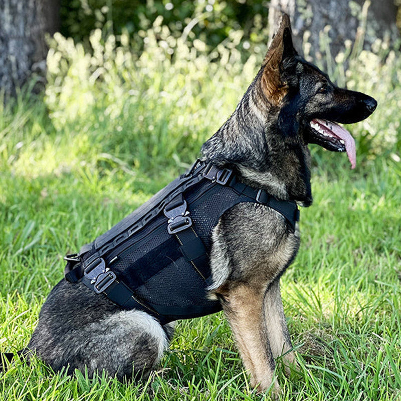 Tactical K9 Harness