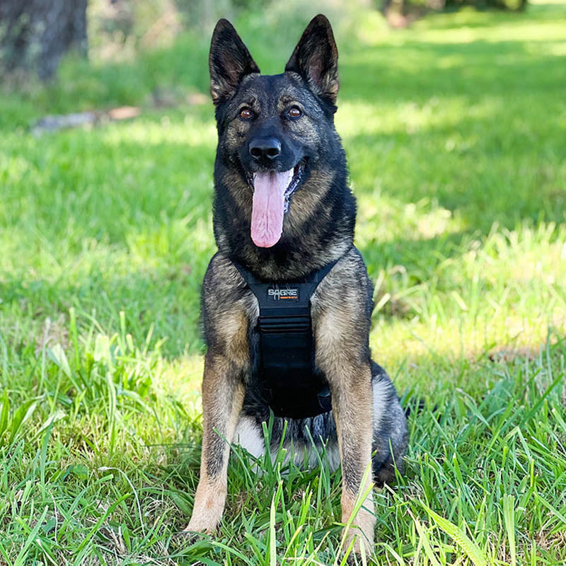 Tactical K9 Harness