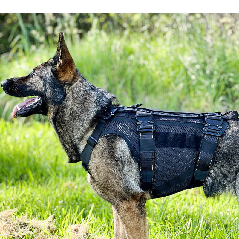 Tactical K9 Harness