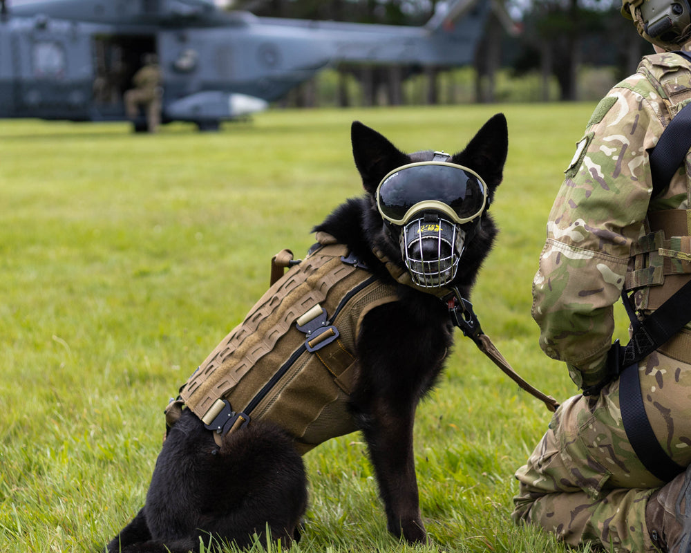 Dog Mask K9 Tactical Gear Military Dog Helmet K9 Equipment